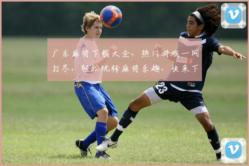 广东麻将下载大全，热门游戏一网打尽，轻松玩转麻将乐趣，快来下载体验