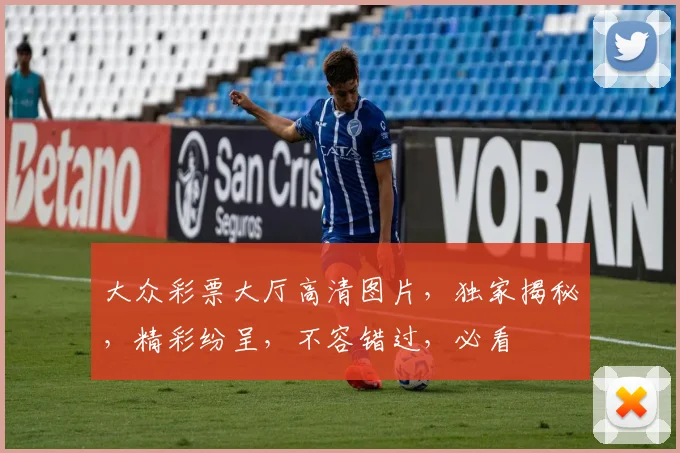 大众彩票大厅高清图片，独家揭秘，精彩纷呈，不容错过，必看