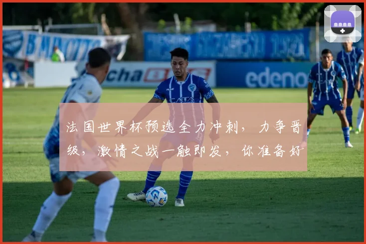 法国世界杯预选全力冲刺，力争晋级，激情之战一触即发，你准备好了吗